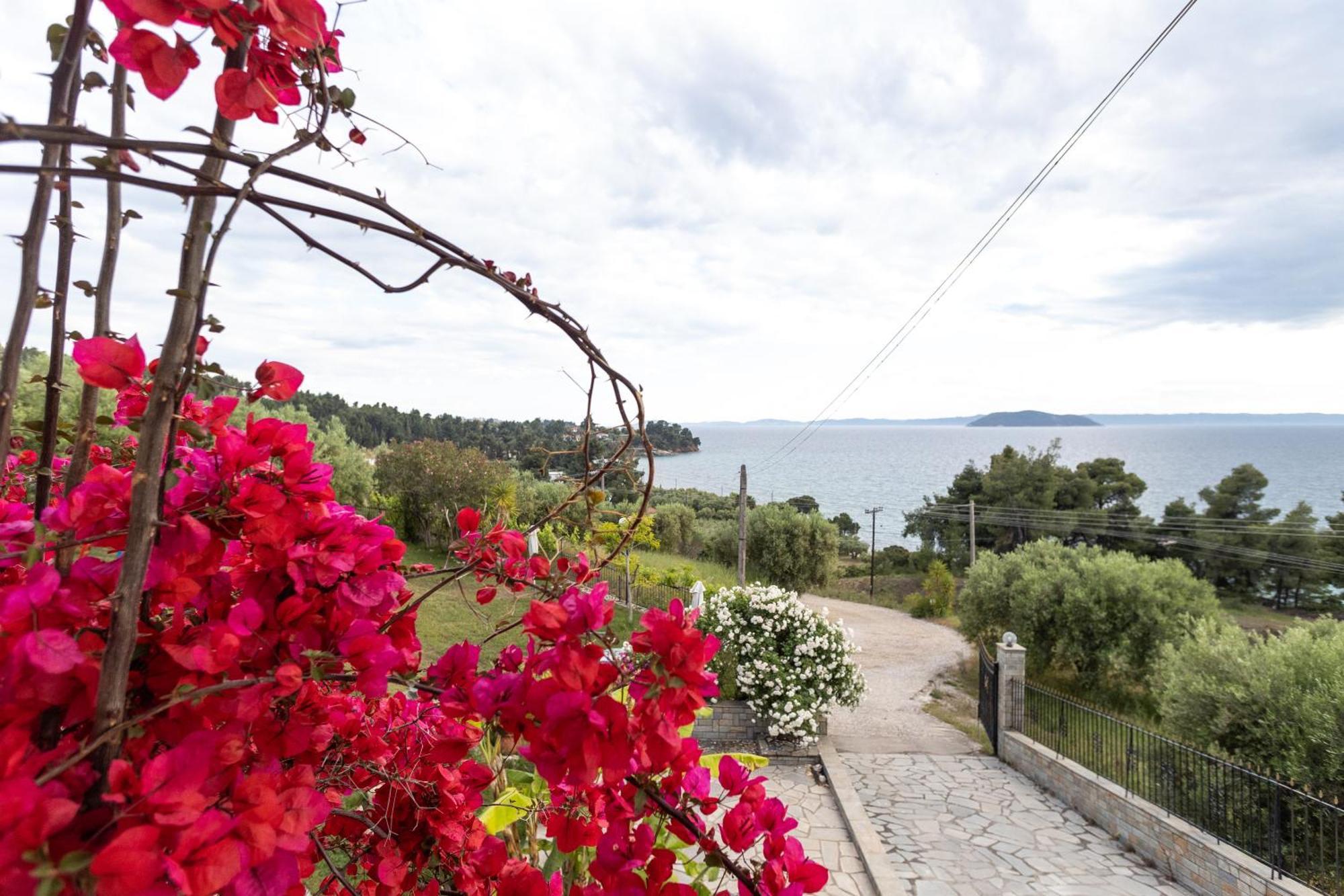 House Panorama Sea View Neos Marmaras Exterior foto